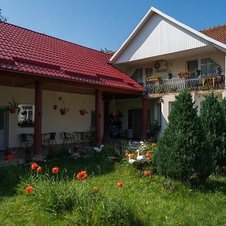 Denisa & Rares Hotel Tasnad Exterior foto